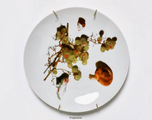 Amazing Dish Art Series By Patella Brothers