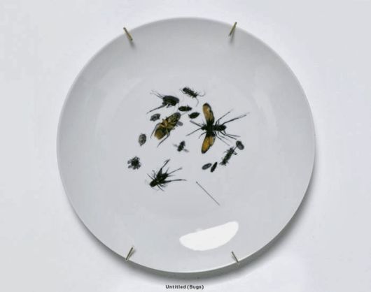 Amazing Dish Art Series By Patella Brothers