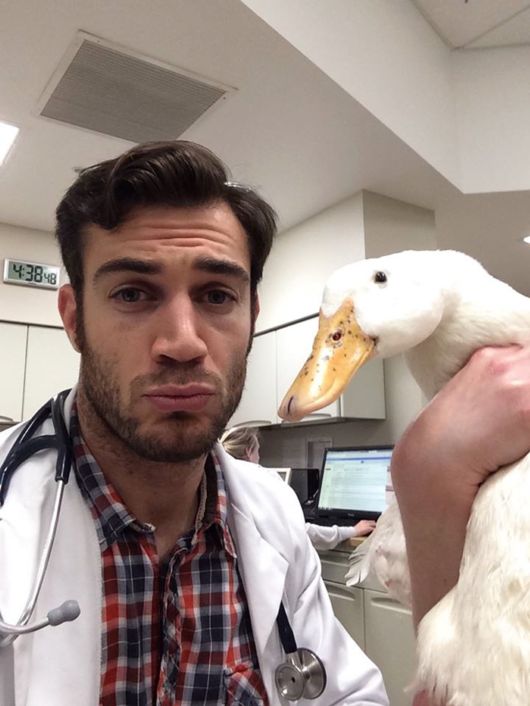 The Smartest Animal Doctor Ever