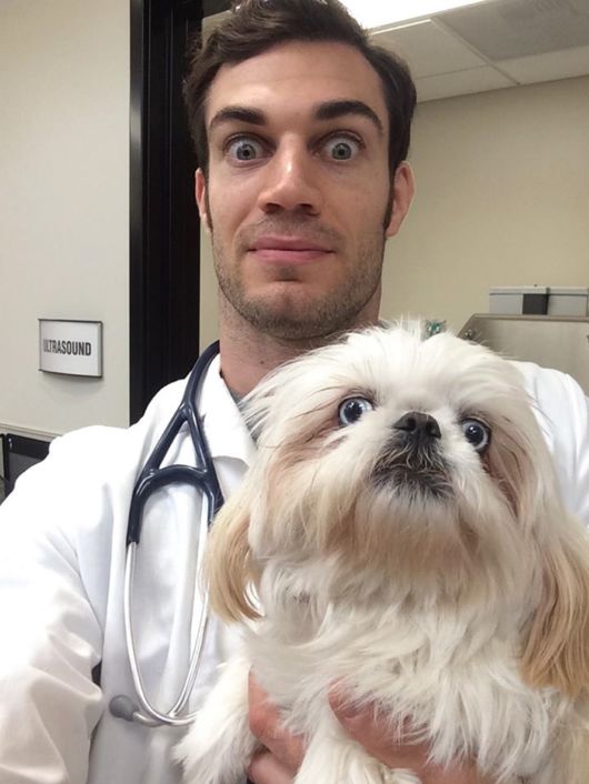 The Smartest Animal Doctor Ever