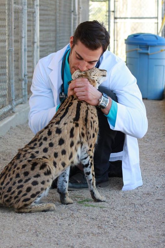 The Smartest Animal Doctor Ever