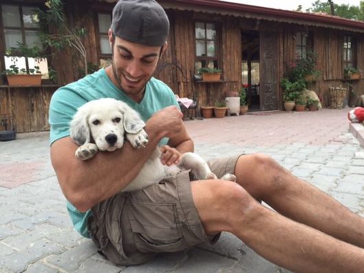 The Smartest Animal Doctor Ever