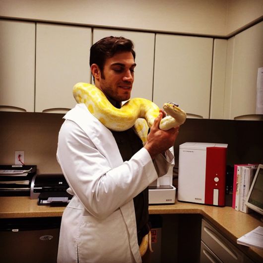 The Smartest Animal Doctor Ever