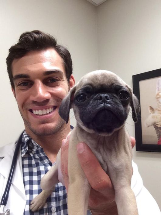 The Smartest Animal Doctor Ever