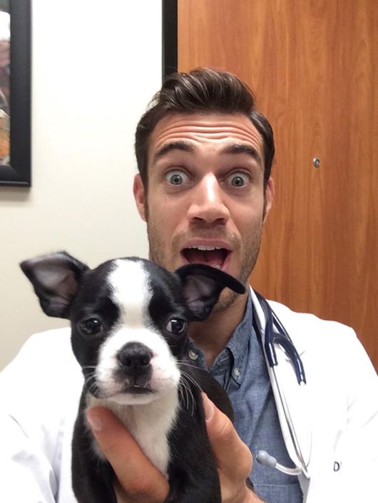 The Smartest Animal Doctor Ever