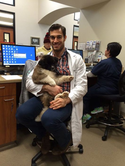 The Smartest Animal Doctor Ever