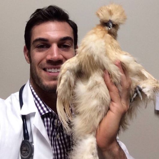 The Smartest Animal Doctor Ever