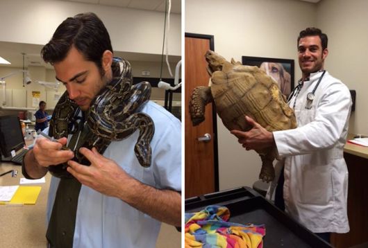 The Smartest Animal Doctor Ever