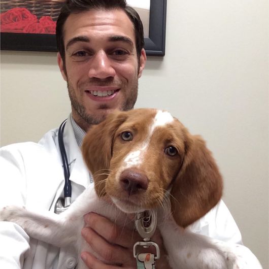 The Smartest Animal Doctor Ever