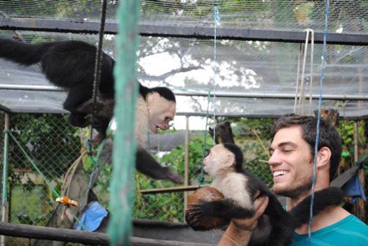 The Smartest Animal Doctor Ever