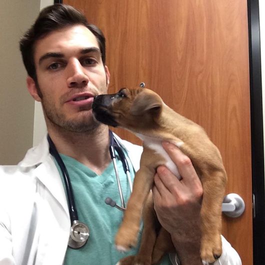 The Smartest Animal Doctor Ever