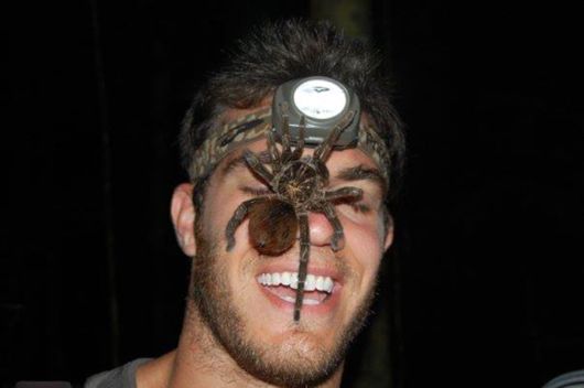 The Smartest Animal Doctor Ever