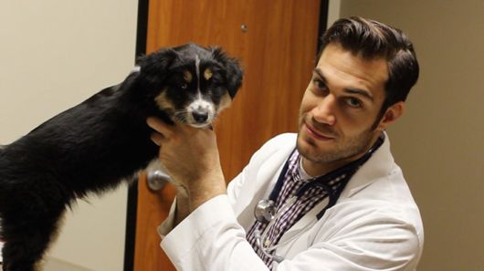 The Smartest Animal Doctor Ever