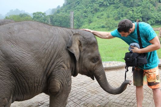 The Smartest Animal Doctor Ever