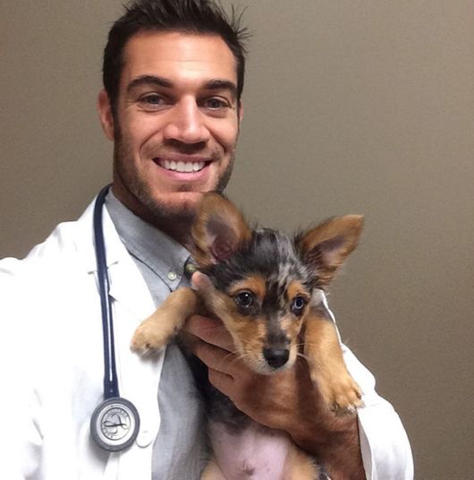 The Smartest Animal Doctor Ever