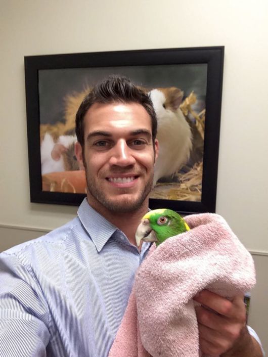 The Smartest Animal Doctor Ever