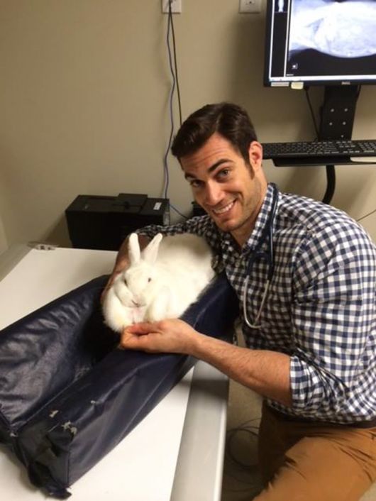 The Smartest Animal Doctor Ever