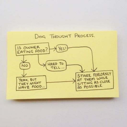 Honest Illustrations That Perfectly Sum Up Adult Life