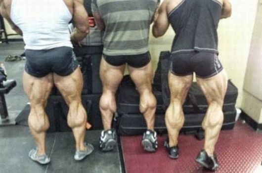 Cool Crazy Pic Dump Of The Week