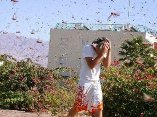 Cool Crazy Pic Dump Of The Week