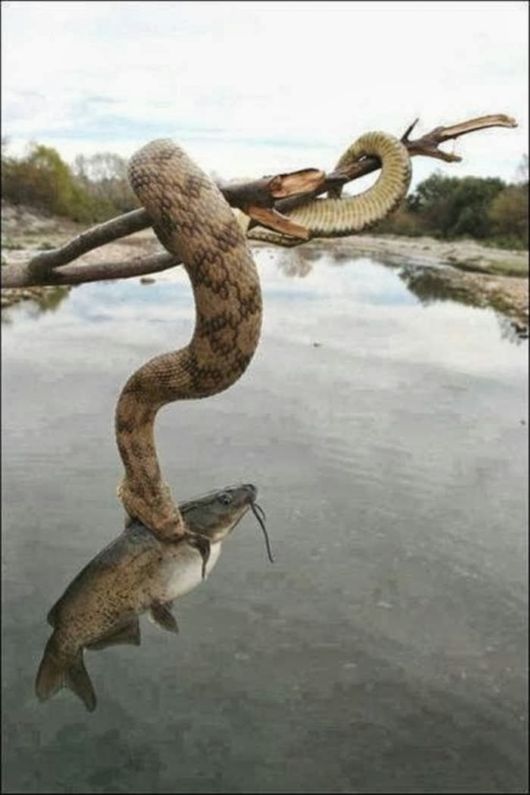 Cool Crazy Pic Dump Of The Week