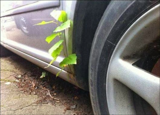 Cool Crazy Pic Dump Of The Week