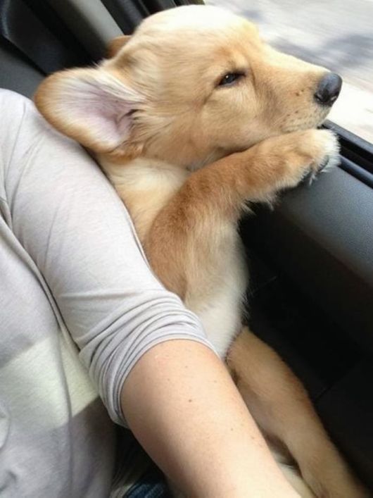 Cool Crazy Pic Dump Of The Week