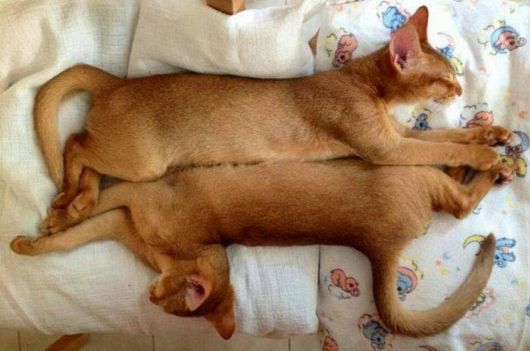 Cool Crazy Pic Dump Of The Week