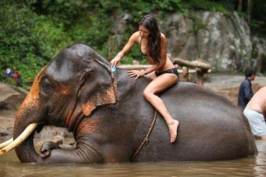 Cool Crazy Pic Dump Of The Week