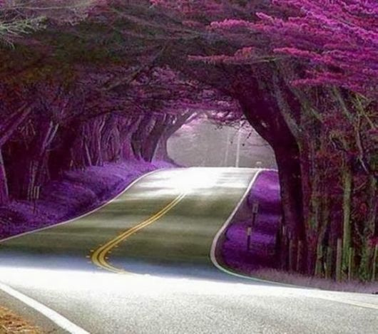 Cool Fun Pics Dump Of The Week