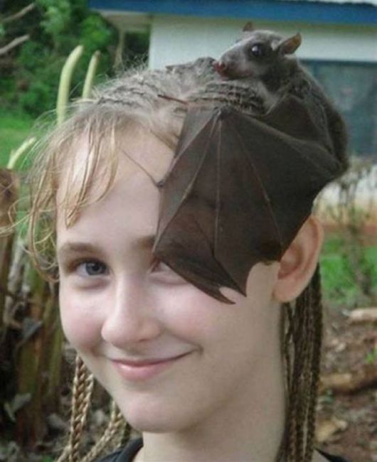 The Fun Treat For The Day