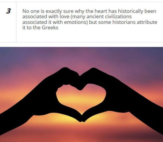 Cool Facts About The Human Heart