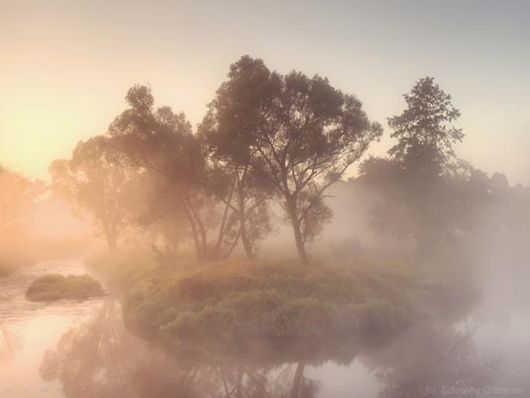 Beautiful Morning Mist And Fog