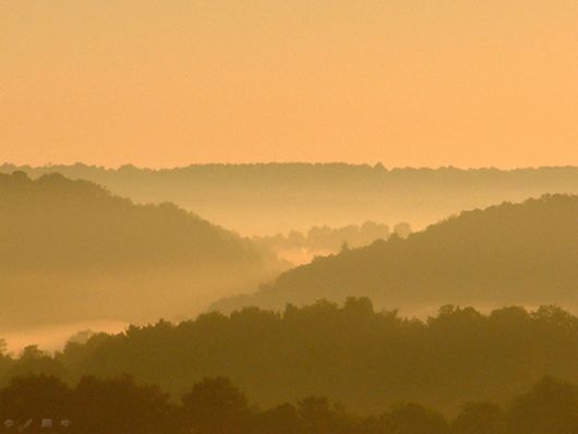 Beautiful Morning Mist And Fog