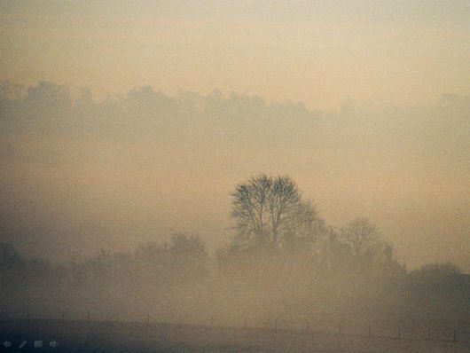 Beautiful Morning Mist And Fog