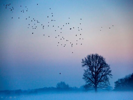 Beautiful Morning Mist And Fog