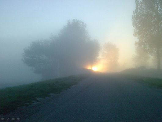 Beautiful Morning Mist And Fog