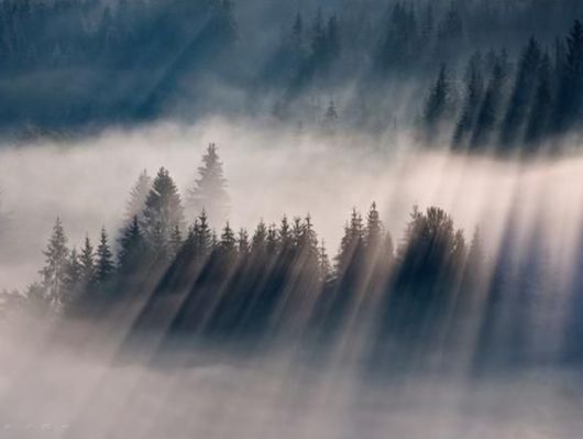 Beautiful Morning Mist And Fog