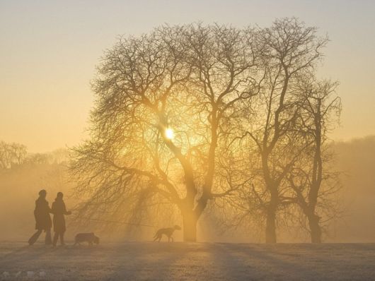 Beautiful Morning Mist And Fog