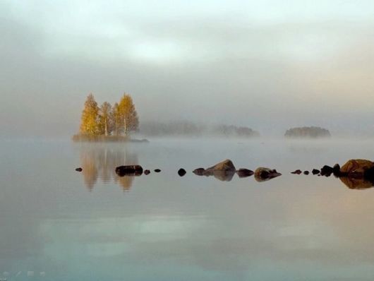 Beautiful Morning Mist And Fog