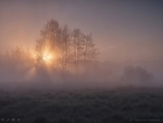 Beautiful Morning Mist And Fog