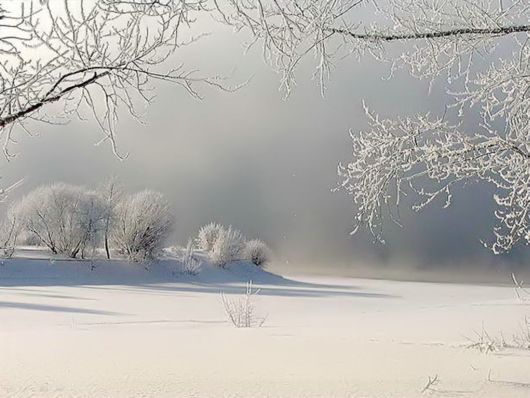 Beautiful Morning Mist And Fog