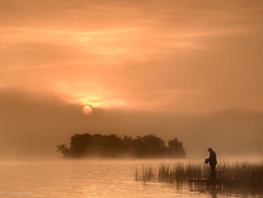 Beautiful Morning Mist And Fog