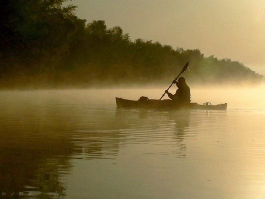 Beautiful Morning Mist And Fog