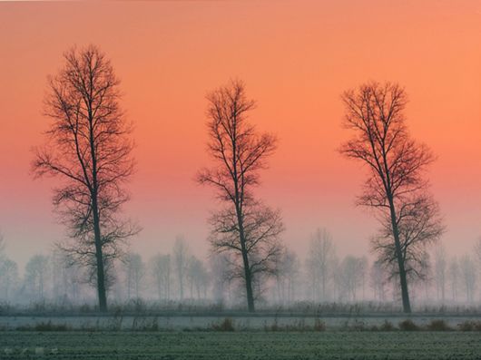 Beautiful Morning Mist And Fog