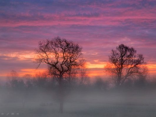 Beautiful Morning Mist And Fog