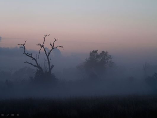 Beautiful Morning Mist And Fog