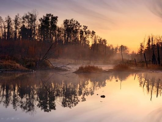 Beautiful Morning Mist And Fog