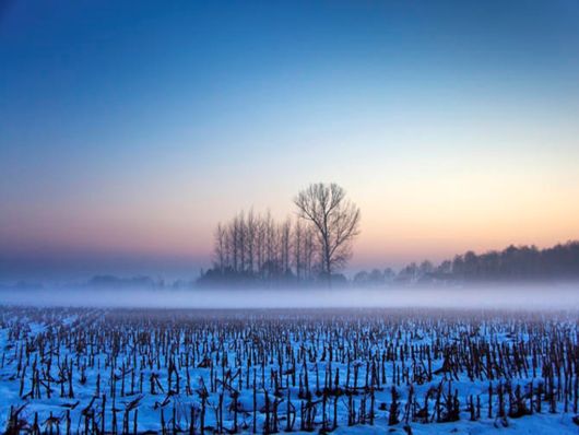 Beautiful Morning Mist And Fog