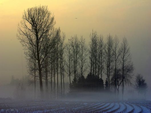 Beautiful Morning Mist And Fog
